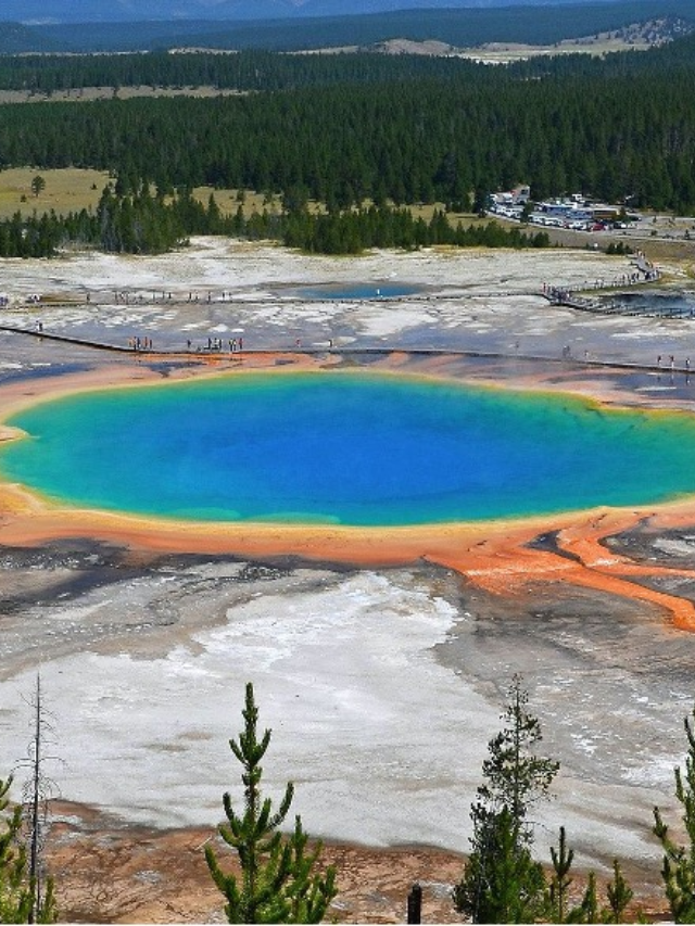 Yellowstone as a Window to the Past: Similarities to Early Earth Environments
