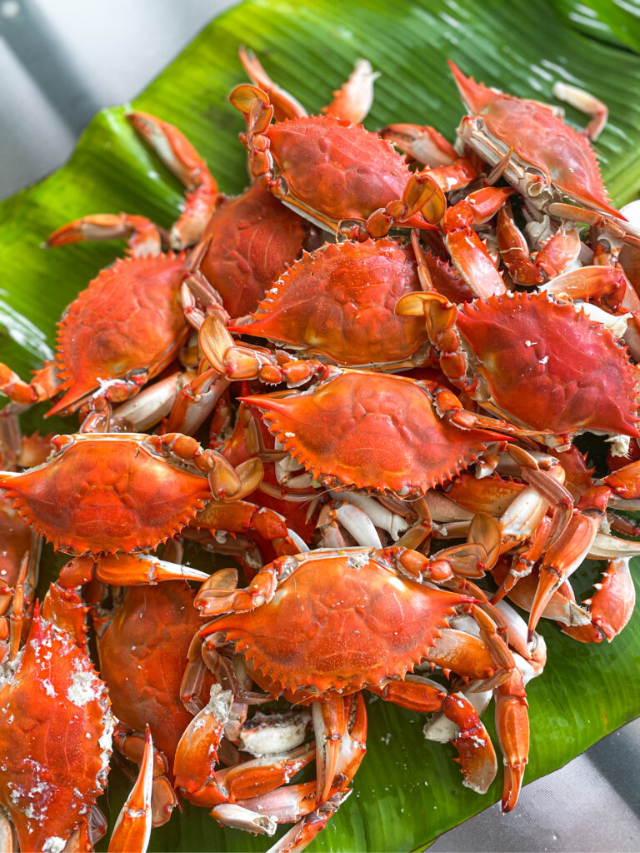 Most grocery stores or seafood markets will carry fresh or frozen snow crab clusters.