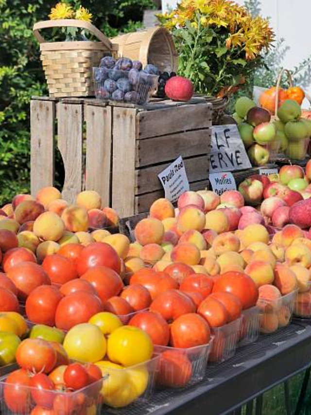 Don't underestimate the humble roadside stand. Freshly picked fruits and vegetables, local honey, and homemade pies offer a taste of local agriculture and a chance to support small businesses.