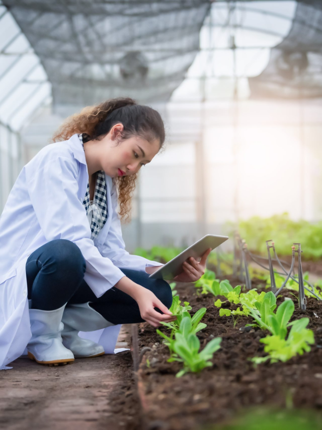 Greenhouses need ventilation to control temperature and humidity.
