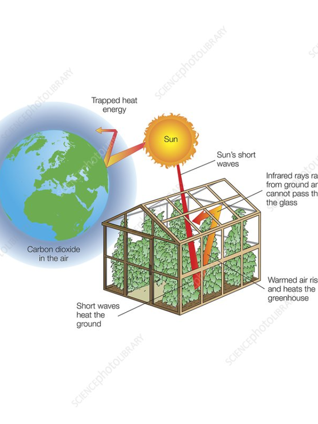 Greenhouses trap heat through trapped air, not radiation blocking.
