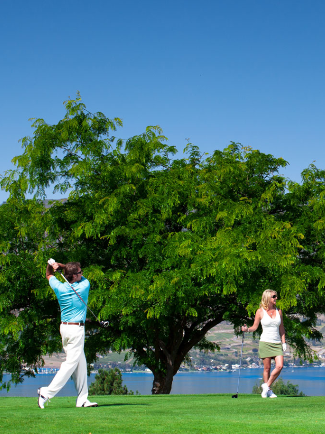 Hit the links at Bear Mountain Ranch or Lake Chelan Municipal Golf Course, offering stunning lake and mountain views.
