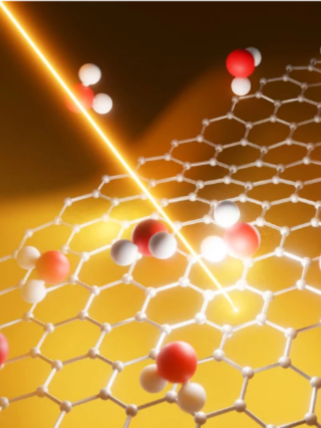Researchers from UAB, IMB-CNM, National Graphene Institute, Grenoble Institut des Neurosciences, and the University of Barcelona