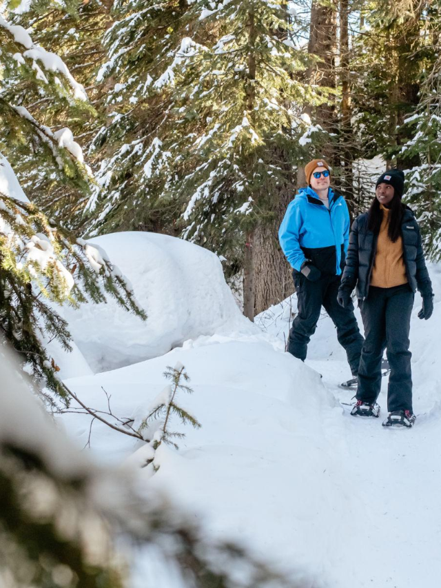 For a quieter experience, explore snowshoe and cross-country trails at Echo Ridge Nordic Ski Area or enjoy a thrilling snowmobile adventure.
