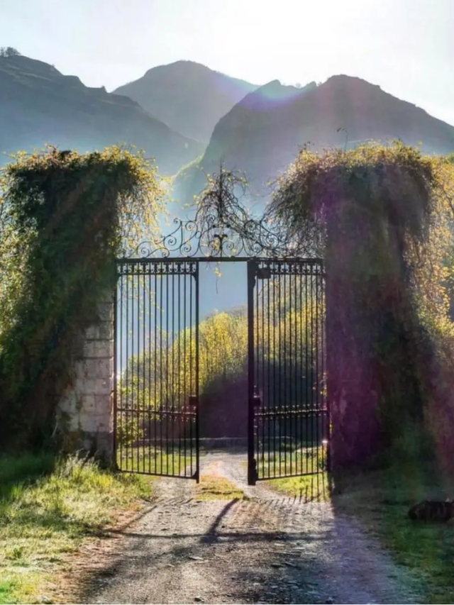 Each clue Sarah left led me to a new location and a piece of my own forgotten past.  Memories resurfaced, long-buried secrets unfolded, and the true meaning of her message began to crystallize.