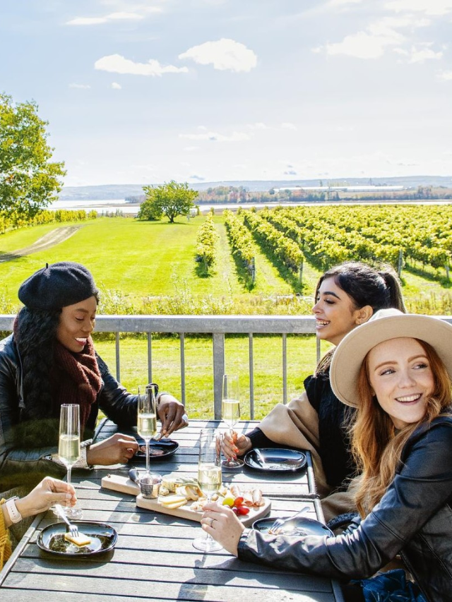 Discover the flavors of Lake Chelan Valley! Sample award-winning wines from over 30 wineries, or try refreshing craft beers and ciders.
