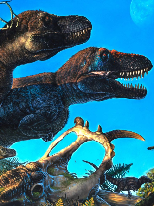 Rethinking Body Size and Climate