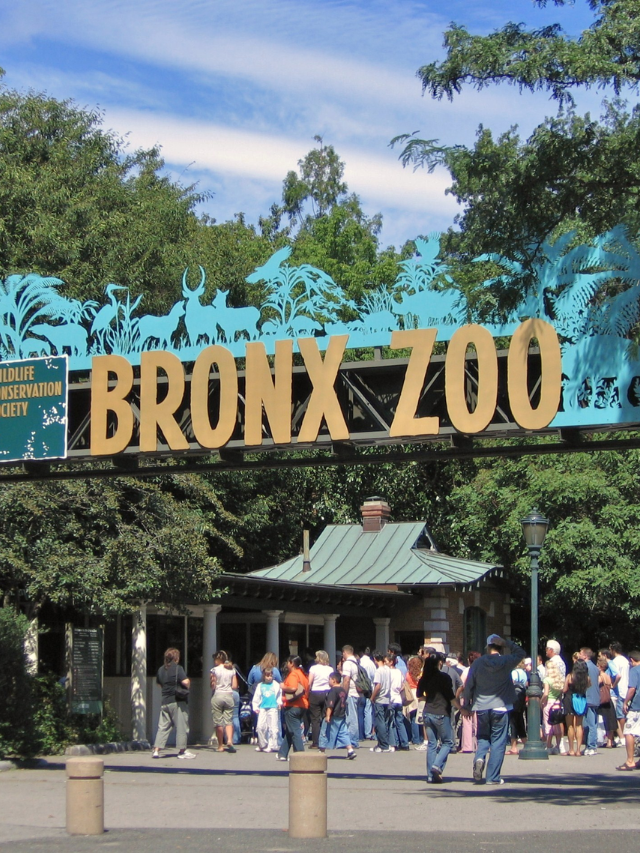  Bronx Zoo - A New York Icon with Global Reach