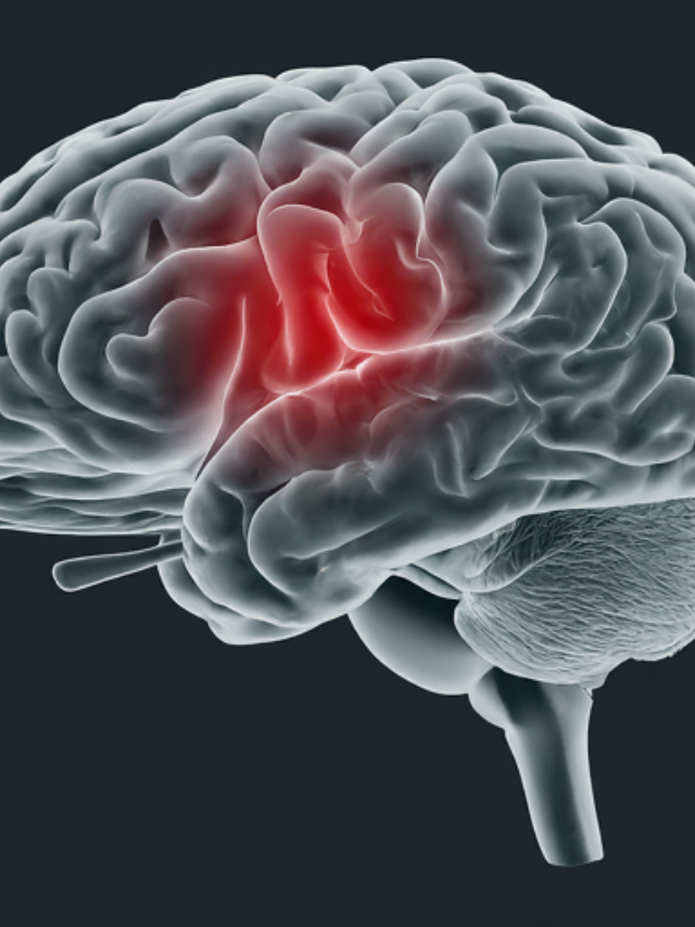 Light Exposure and Brain Function