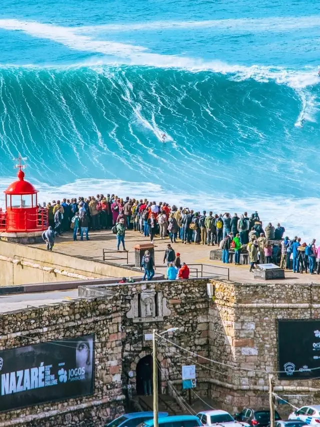 Catch a Perfect Wave
