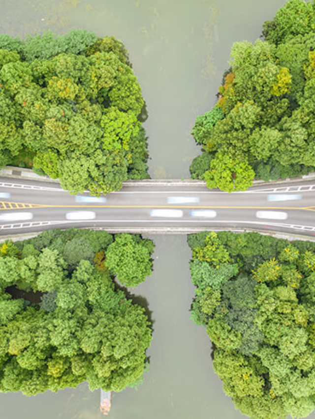 Shifting Focus from Grey to Green

