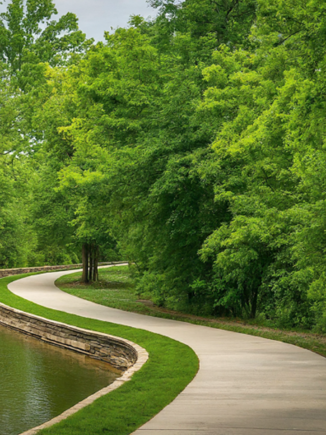 Nature's Escape in the Heart of the City
