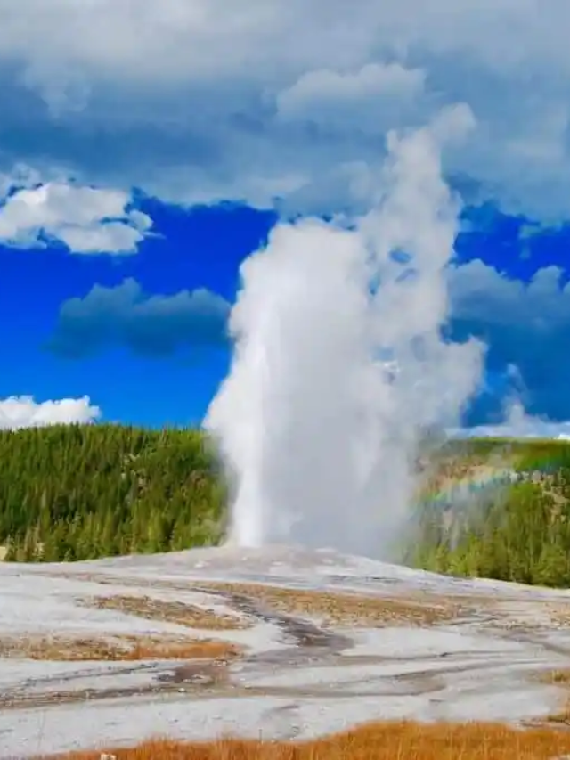 Witness the raw power of nature at Yellowstone National Park. Explore bubbling geysers, vibrant hot springs, and mudpots spewing steam – a geological wonderland unlike any other.