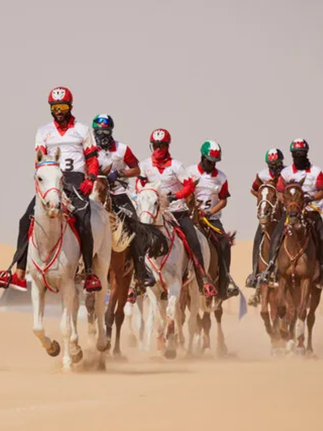 The Arabian - A Timeless Beauty

