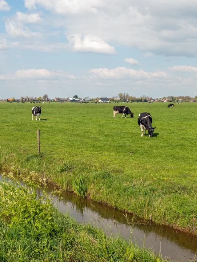 Tackling Non-Point Pollution Sources
