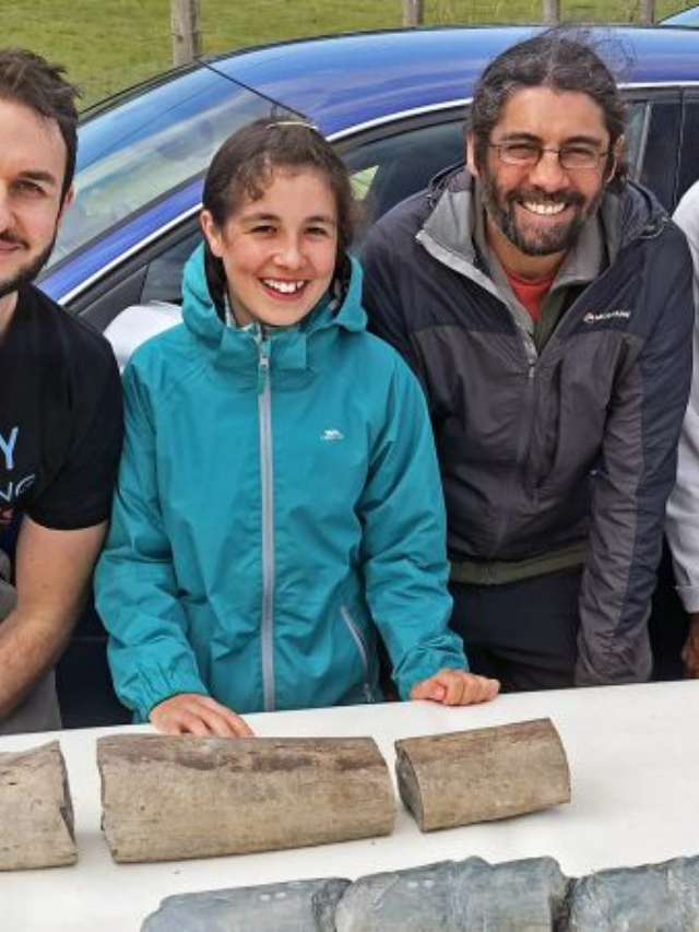Scientists believe the Perucetus Colossus roamed the oceans around 40 million years ago. Its dense bones may have helped it regulate its body temperature in the cold, deep waters where it likely fed on giant plankton.