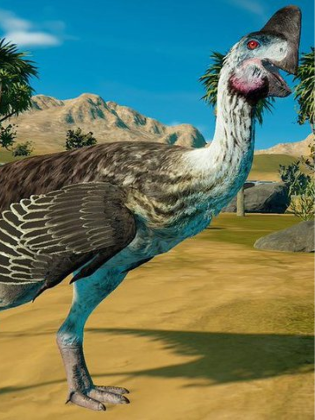Modern Creatures Show Similar Patterns