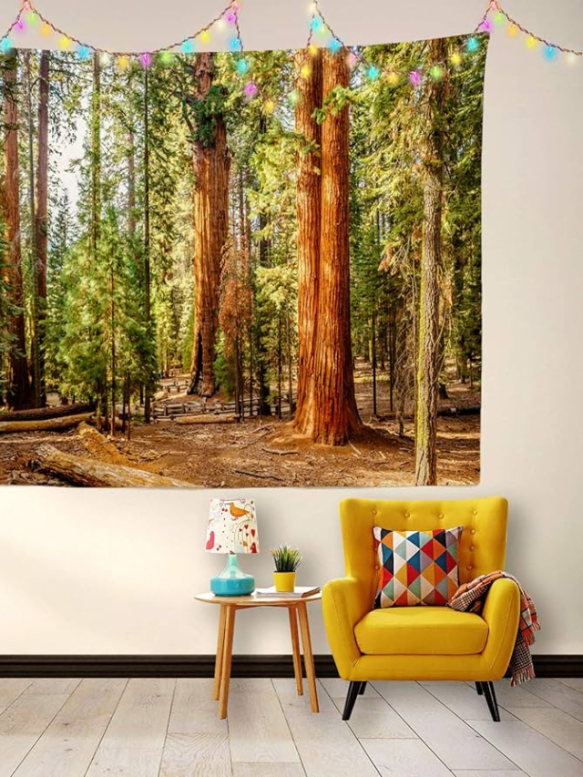Redwood Country Beyond the Trees: A Tapestry of Nature
