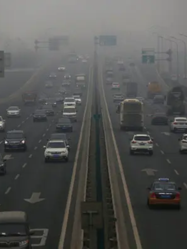  Carbon Markets Drive Investment in Green Infrastructure