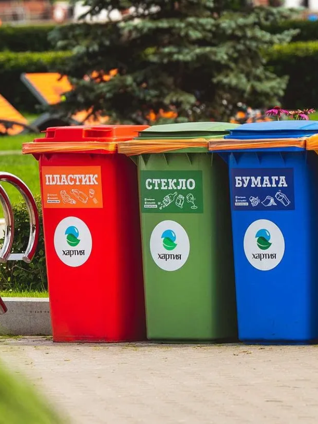 From Waste to Resource
