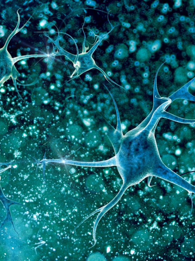 New Targets for Drug Development