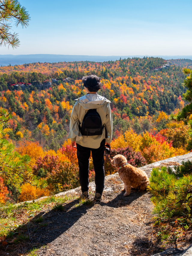  Hike Through Lush Trails
