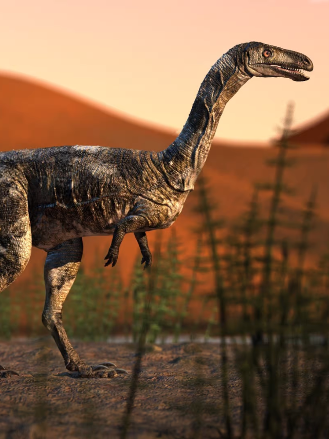 Dinosaurs: A Different Kind of Success Story 