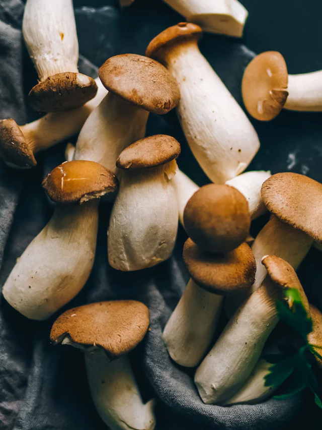 Embrace the Power of Functional Mushrooms!
