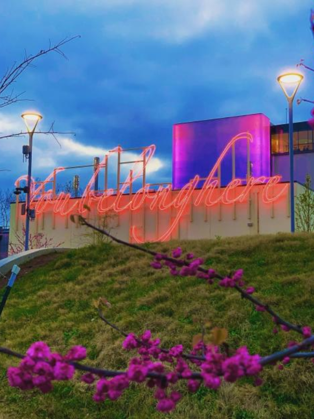 Discover Bentonville: A City That Surprises
