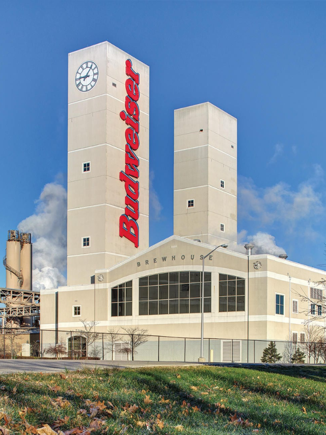 Anheuser-Busch Brewery Tour: Behind the Scenes

