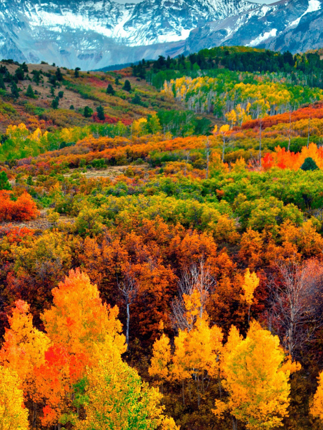 Experience Montana's Warm Hospitality
