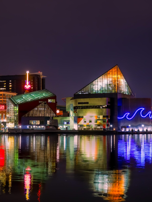Experience Baltimore's Charm
