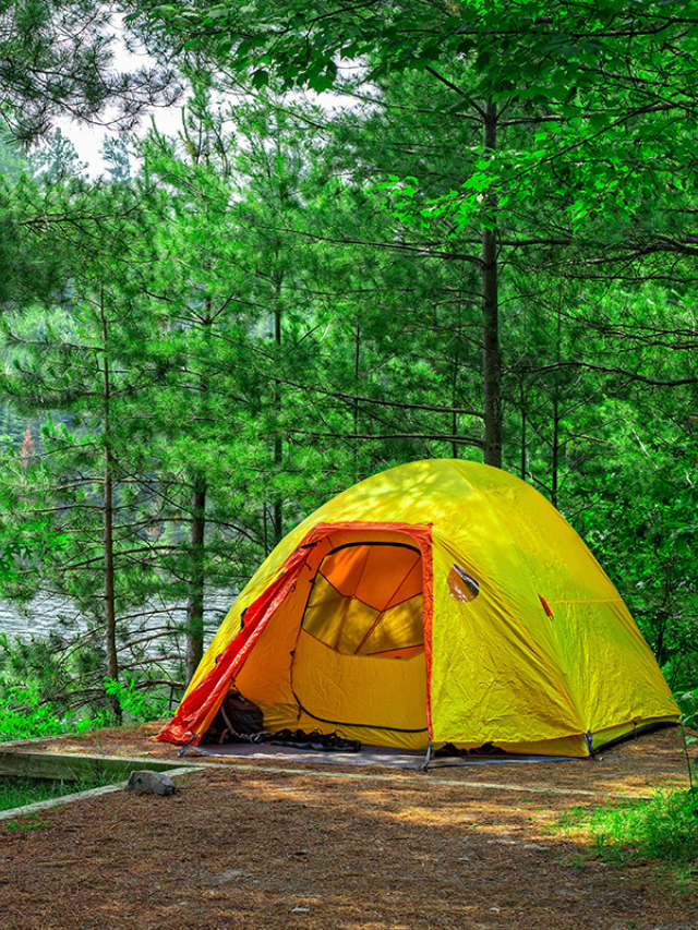  A breathtaking overlook of Voyageurs National Park with crystal-clear lakes and lush forests.


