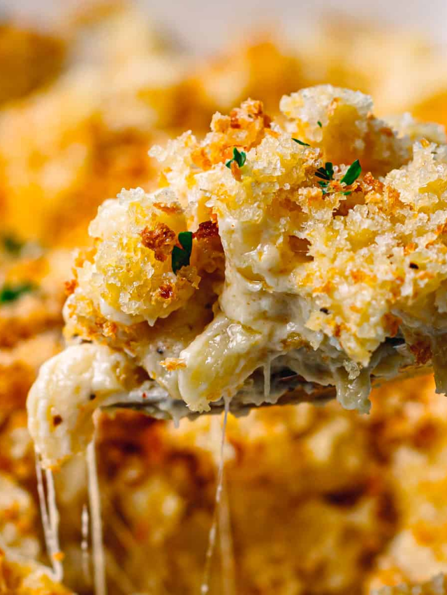 A creamy, cheesy mac and cheese dish with a sprinkle of breadcrumbs.
