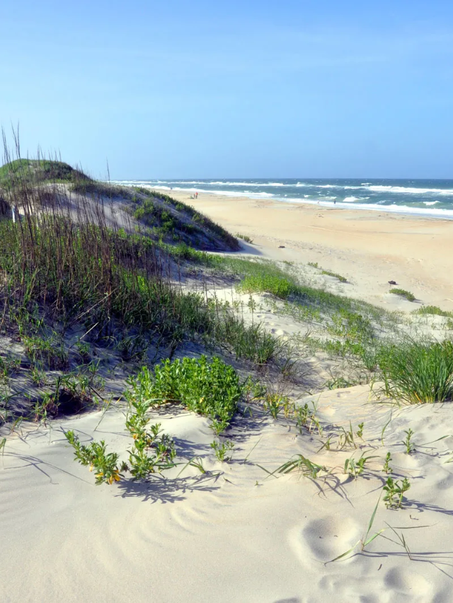  Hatteras Island: A Cape Hatteras National Seashore Escape