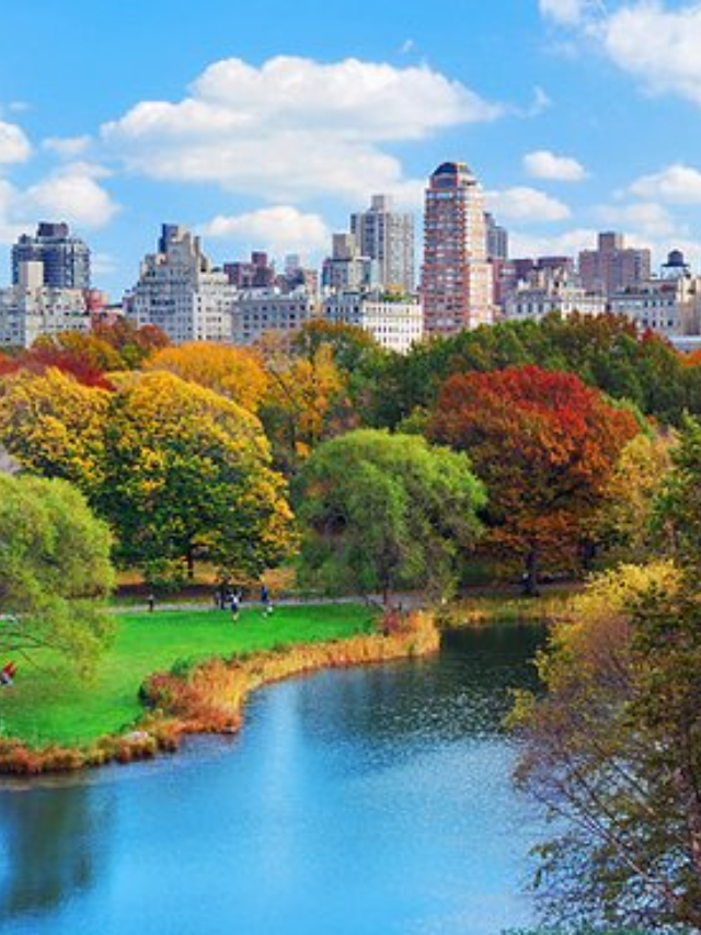 Central Park: A Green Oasis in the Urban Jungle