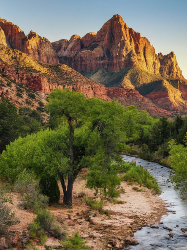 Zion National Park: Hike Through a Canyon Paradise