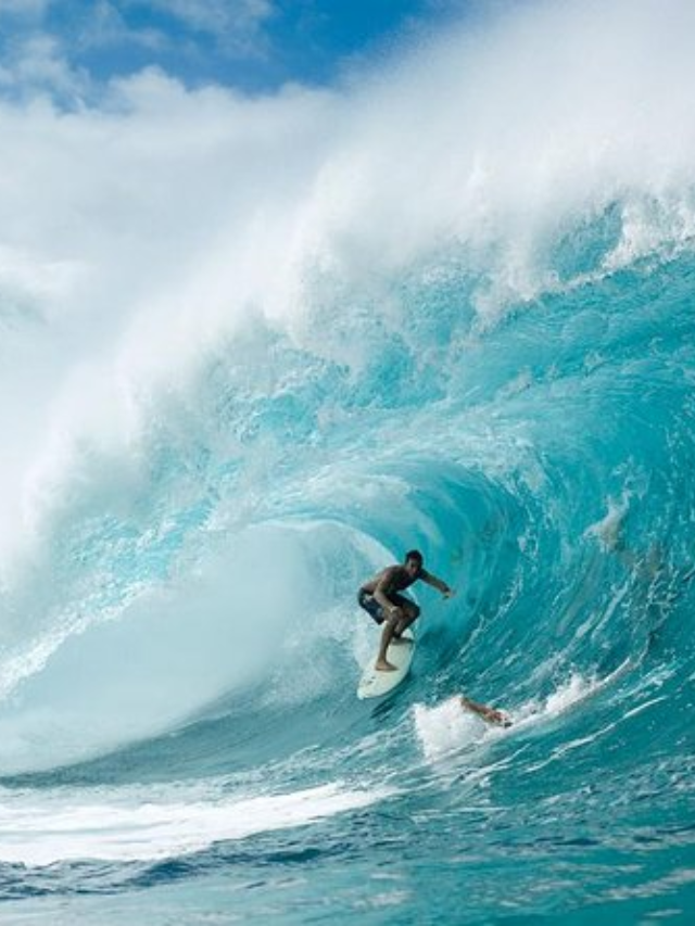 Surfing Paradise: Santa Monica and Venice Beach