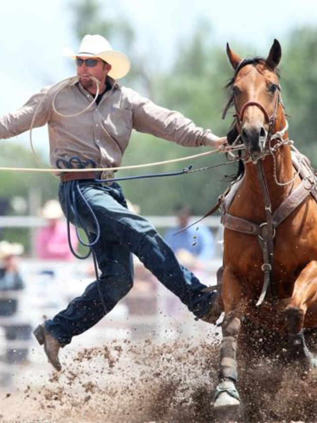 Home to Cheyenne Frontier Days
