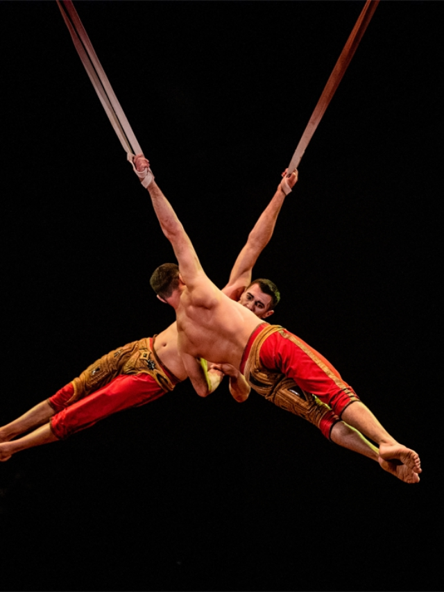 Cirque du Soleil Spectacles
