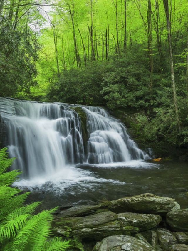  Tennessee isn't just about the music. Journey to the Great Smoky Mountains National Park, a hiker's paradise offering breathtaking vistas, cascading waterfalls, and diverse wildlife.
