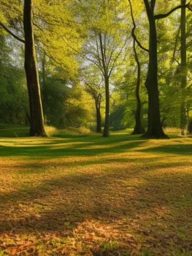 Step inside a natural cathedral formed by towering redwoods. Sunlight struggles to pierce the dense canopy, casting an ethereal glow on the forest floor. Breathe in the crisp, redwood-scented air and feel a sense of peace wash over you.