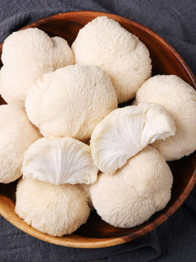 Top Functional Mushroom: Lion's Mane
