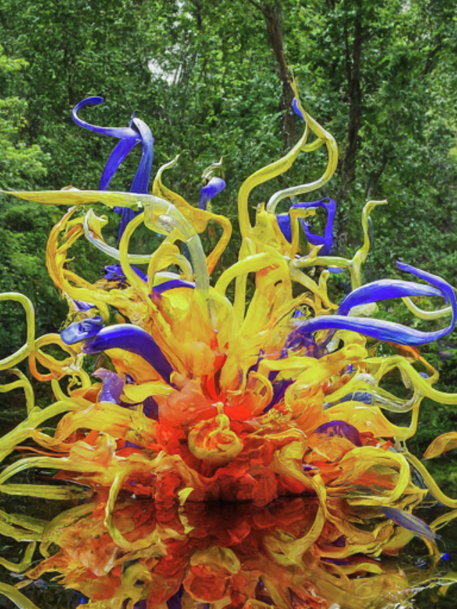  Chihuly Garden and Glass: Where Art Meets Nature
