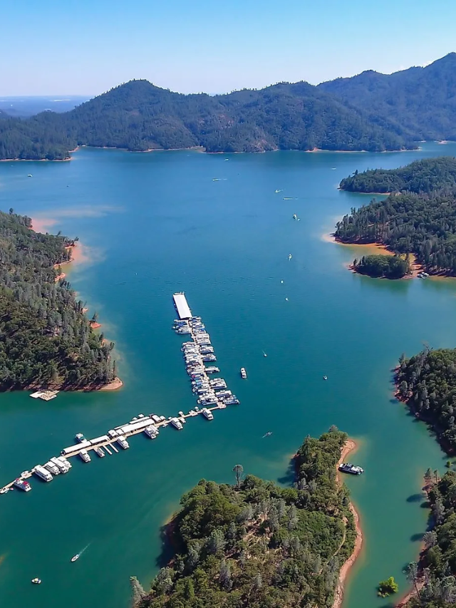 Discover Shasta Lake: A Water Wonderland

