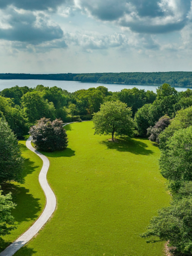 Explore Forest Park: A Haven for Nature Lovers

