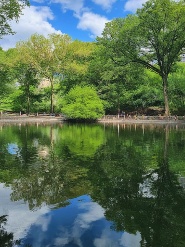 Hidden Parks and Urban Oases