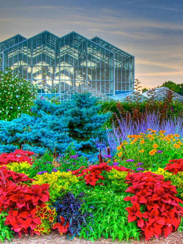 Frederik Meijer Gardens & Sculpture Park: A Horticultural Masterpiece**
