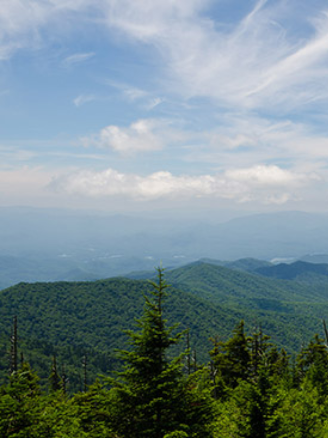  Ascend Clingmans Dome, the highest point in the Smokies, for unparalleled views that stretch for miles. Explore charming towns like Gatlinburg and Pigeon Forge, offering unique shops, entertainment, and a taste of local culture.
