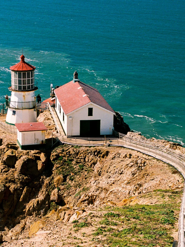 Picturesque views of Point Reyes National Seashore, followed by images of towering Redwood trees lining the highway.
